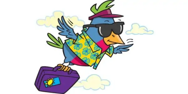 cartoon snowbird living the life