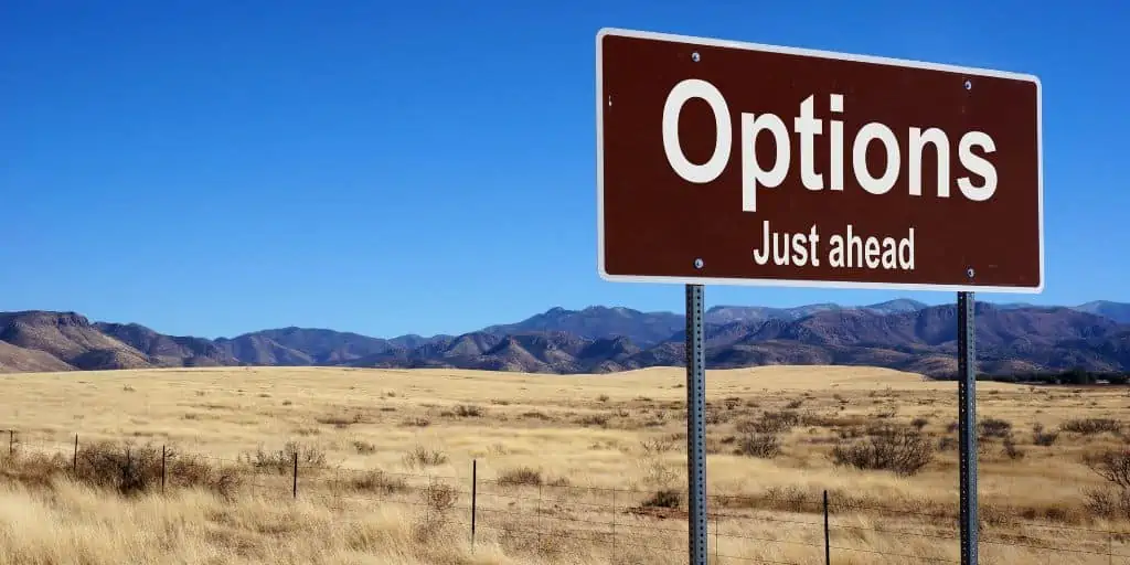 road sign on scenic highway that reads options ahead